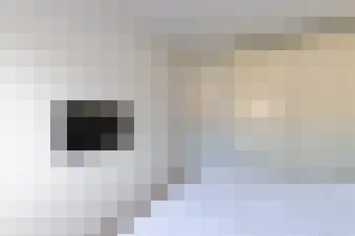 Nieuwendaal 8 Werkhoven thumbnail 20
