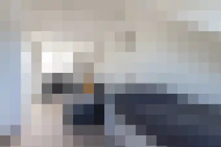 Nieuwendaal 8 Werkhoven thumbnail 29