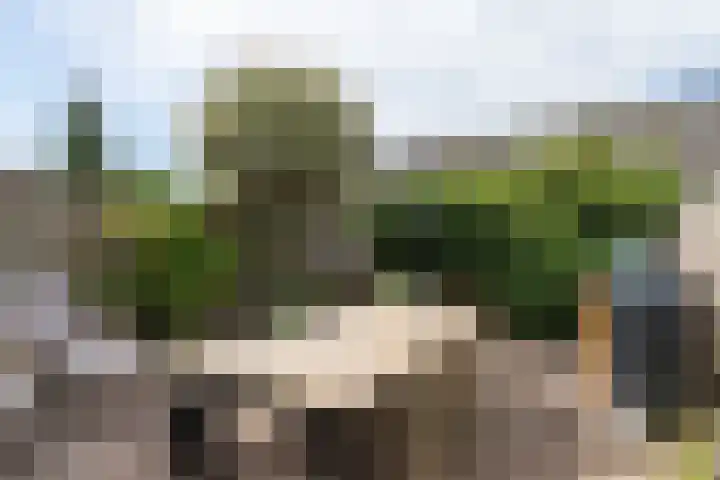 Nieuwendaal 8 Werkhoven thumbnail 32