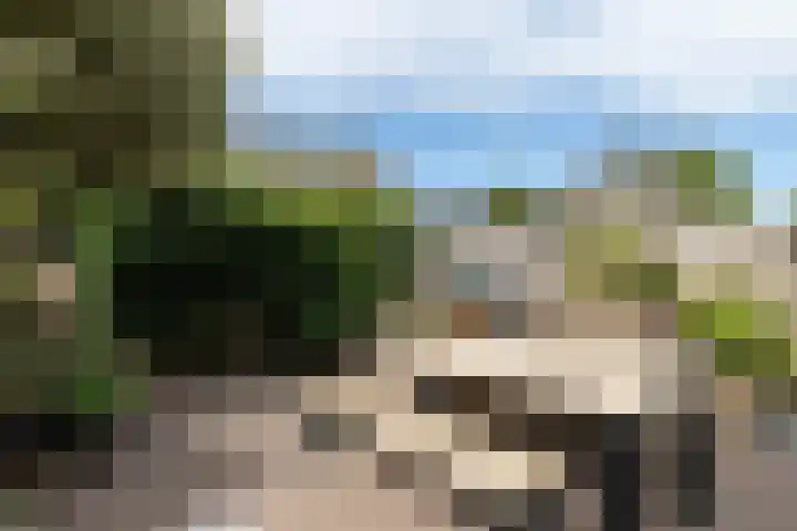 Nieuwendaal 8 Werkhoven thumbnail 33