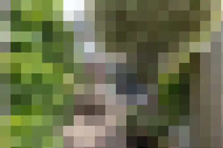 Nieuwendaal 8 Werkhoven thumbnail 36