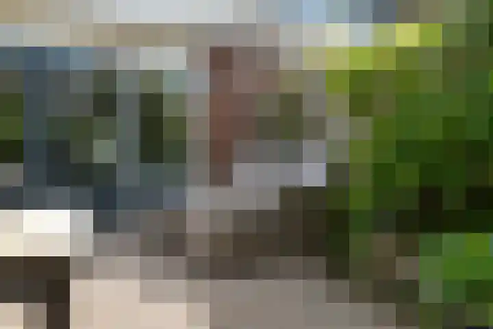 Nieuwendaal 8 Werkhoven thumbnail 39