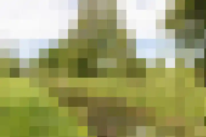Nieuwendaal 8 Werkhoven thumbnail 41