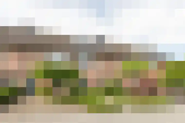 Nieuwendaal 8 Werkhoven thumbnail 49