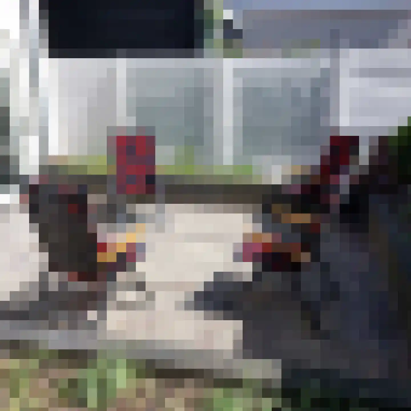 Nieuwendam 24 Hoorn thumbnail 32
