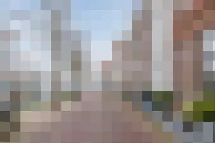 Nieuwendam 24 Hoorn thumbnail 5