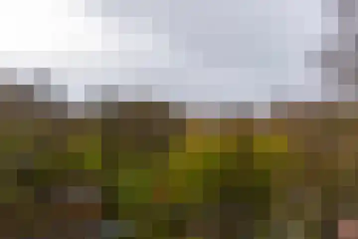 Nieuwendamlaan 164 Den Haag thumbnail 29