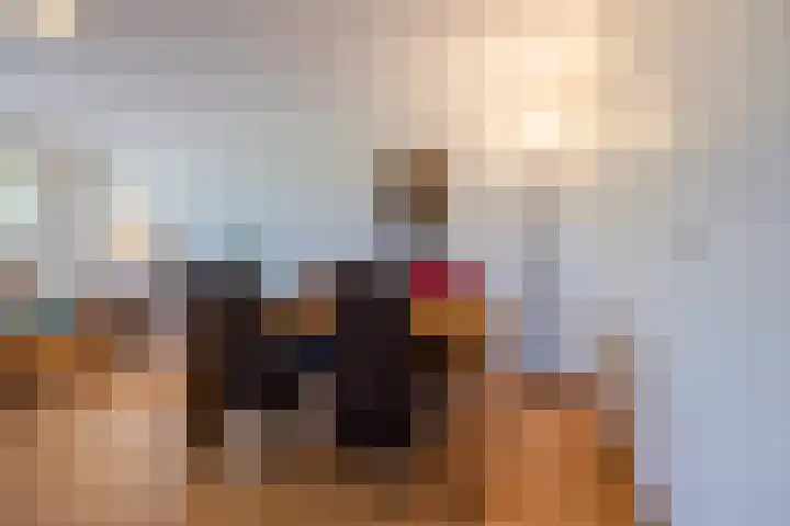 Nieuwendamlaan 31 Den Haag thumbnail 18