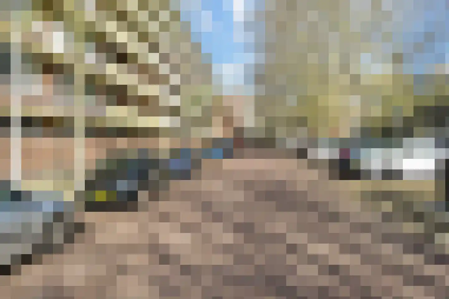 Nieuwendamlaan 346 Den Haag thumbnail 31