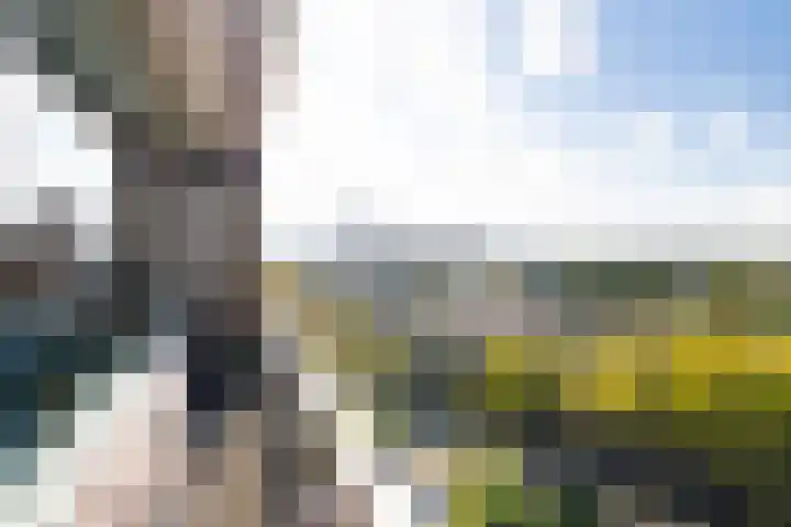 Nieuwendamlaan 500 Den Haag thumbnail 14