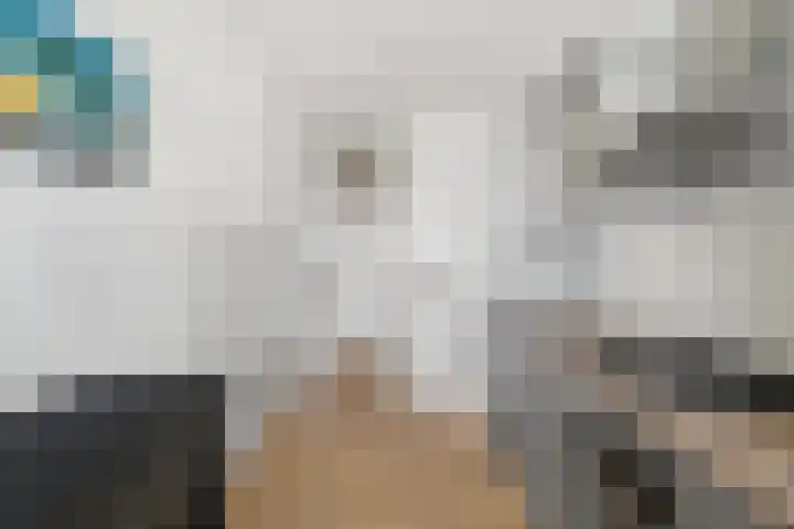 Nieuwendamlaan 500 Den Haag thumbnail 6