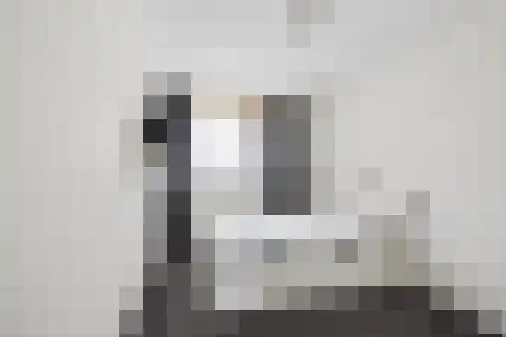 Nieuwendamlaan 500 Den Haag thumbnail 8