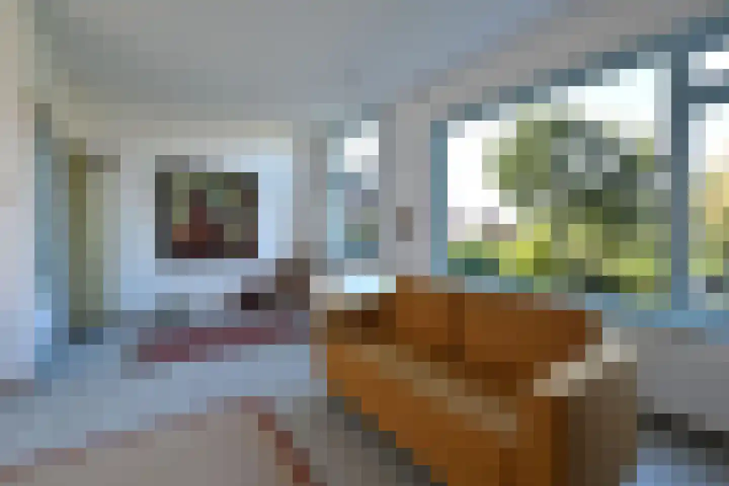 Nieuwendammerdijk 119 Amsterdam thumbnail 6