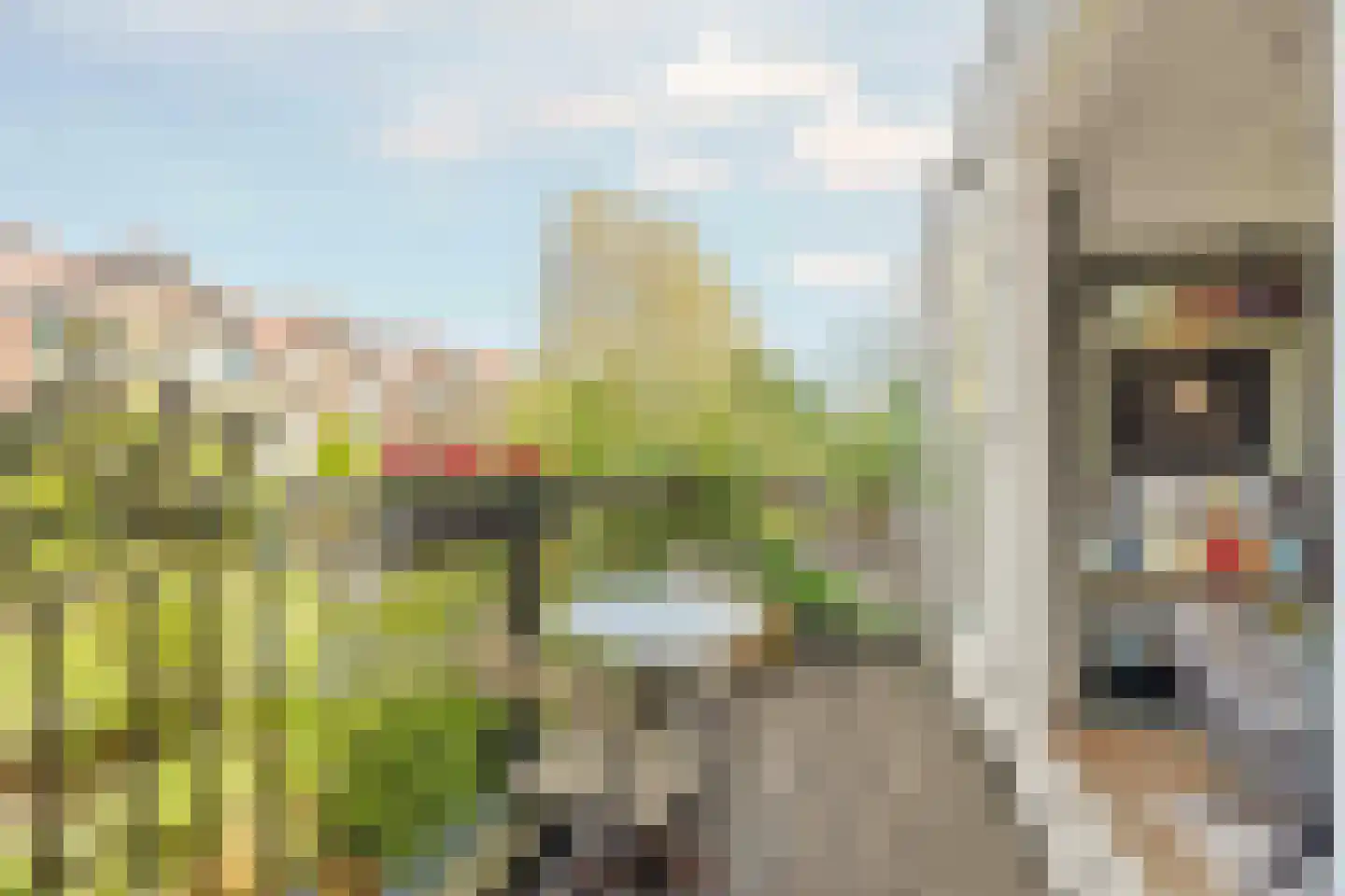 Nieuwendammerdijk 147 Amsterdam thumbnail 13