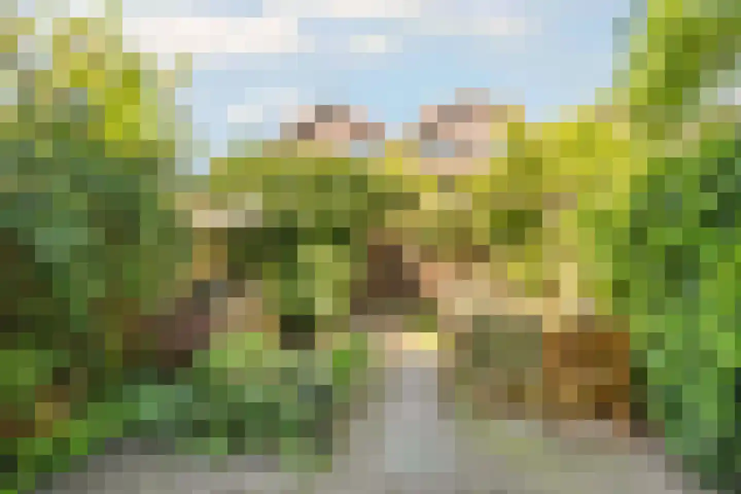 Nieuwendammerdijk 147 Amsterdam thumbnail 35