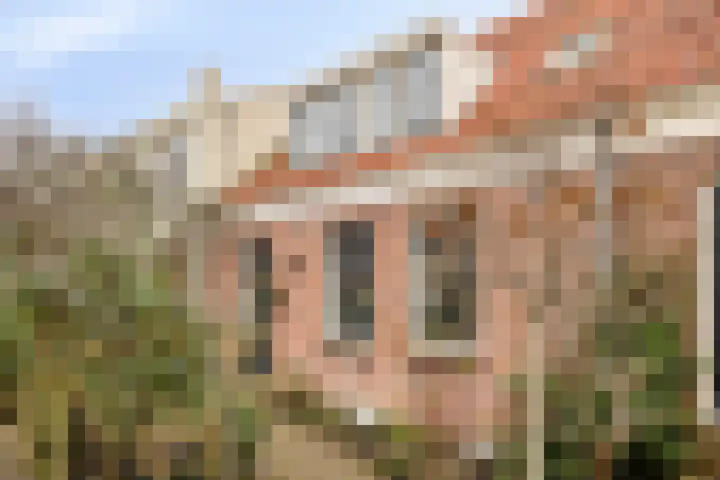 Nieuwendammerdijk 172 Amsterdam thumbnail 21