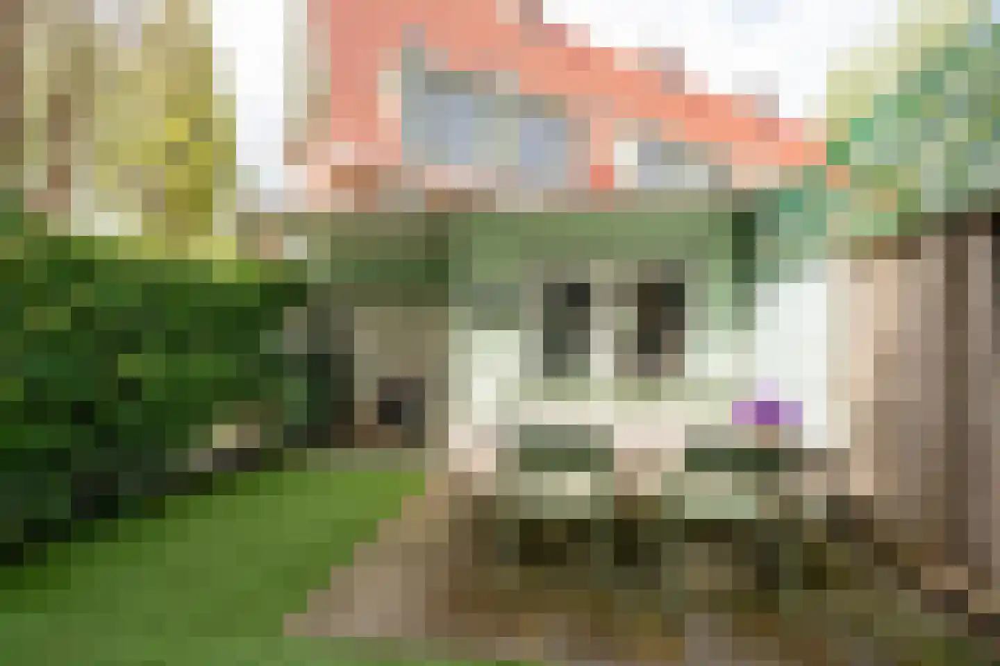 Nieuwendammerdijk 21 Amsterdam thumbnail 11
