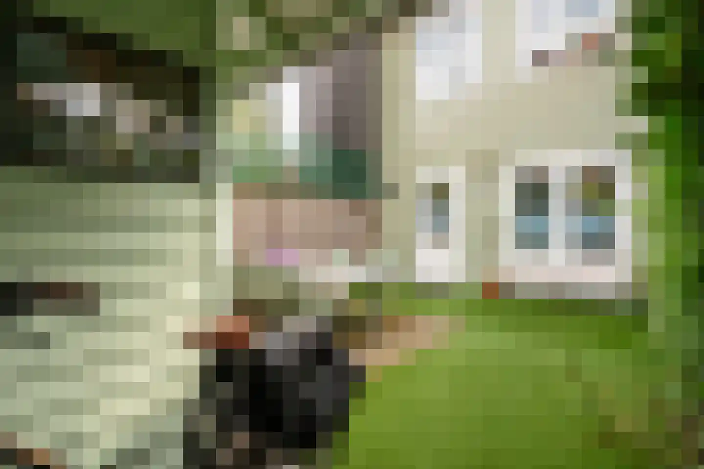 Nieuwendammerdijk 21 Amsterdam thumbnail 13