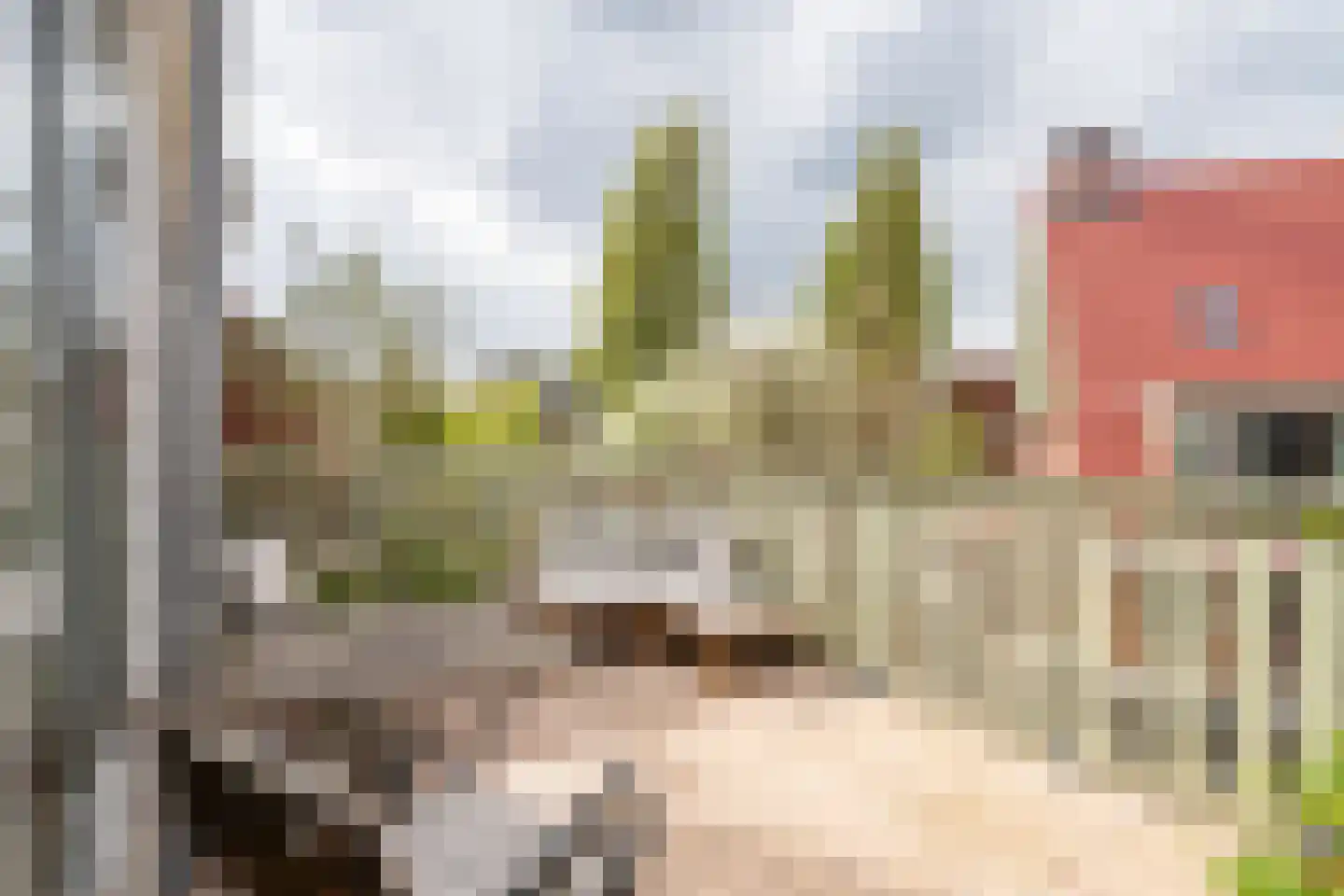Nieuwendammerdijk 21 Amsterdam thumbnail 20