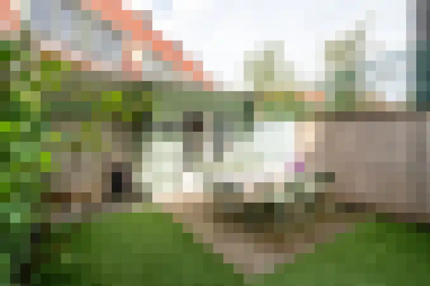Nieuwendammerdijk 21 Amsterdam thumbnail 5