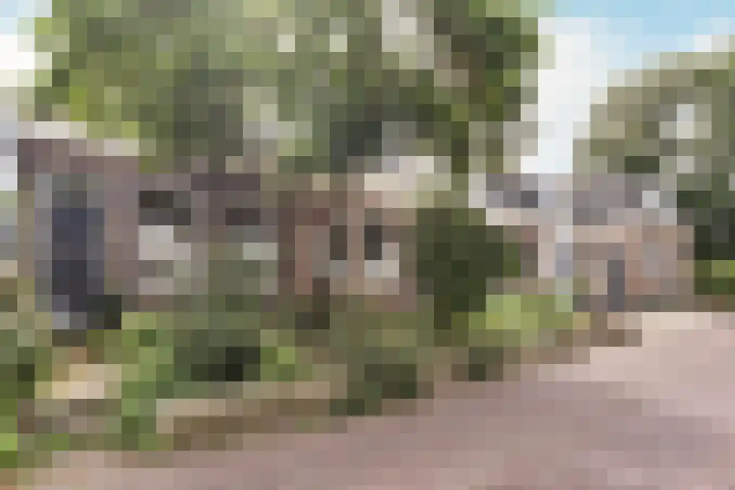 Nieuwendammerdijk 220 Amsterdam thumbnail 32