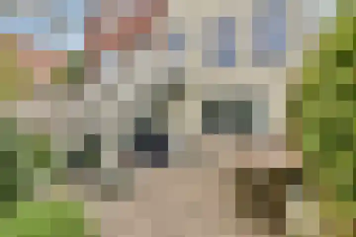 Nieuwendammerdijk 241 Amsterdam thumbnail 18