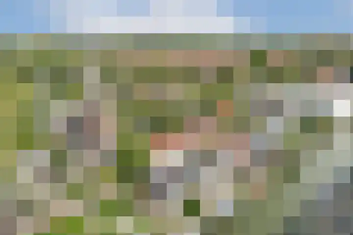 Nieuwendammerdijk 241 Amsterdam thumbnail 4