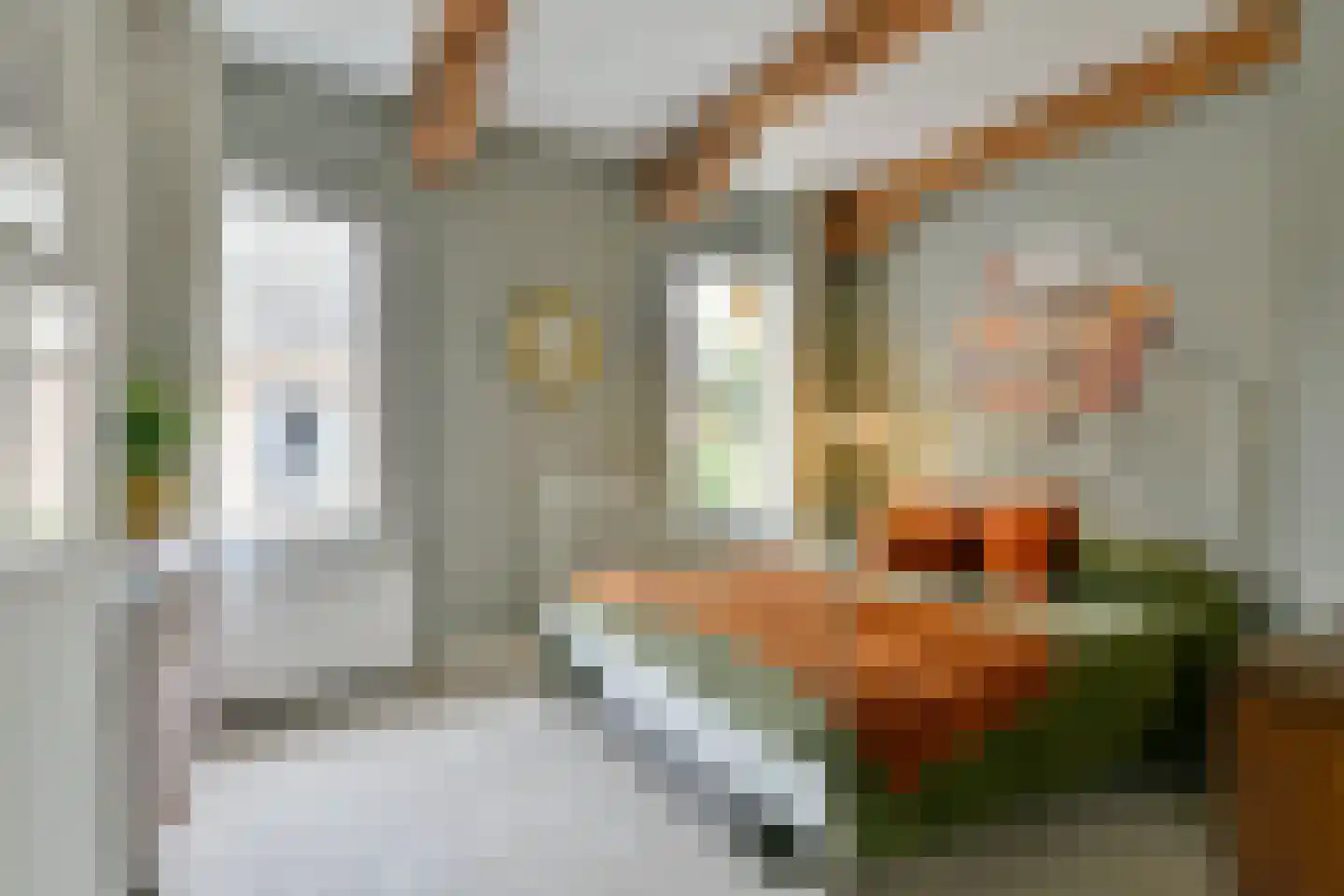 Nieuwendammerdijk 248 B Amsterdam thumbnail 22
