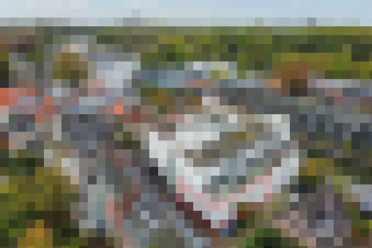 Nieuwendammerdijk 248 B Amsterdam thumbnail 34