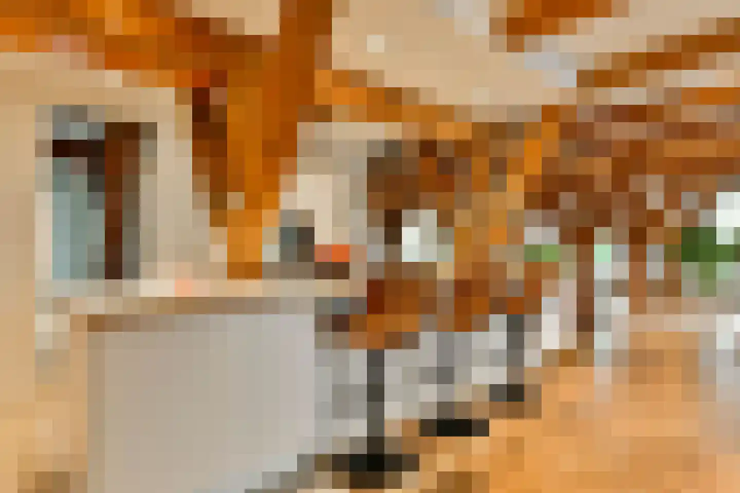 Nieuwendammerdijk 248 B Amsterdam thumbnail 4