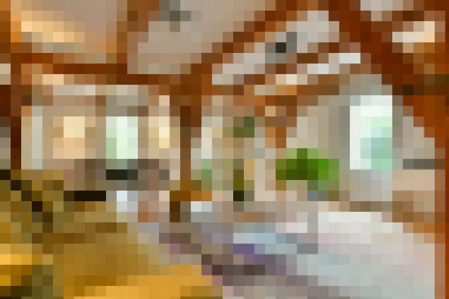 Nieuwendammerdijk 248 B Amsterdam thumbnail 8