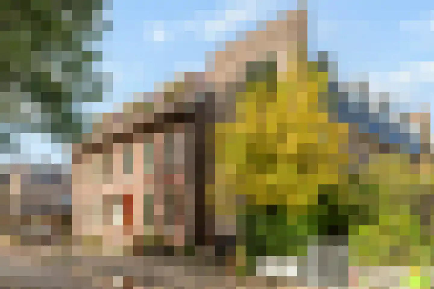Nieuwendammerdijk 345 C Amsterdam