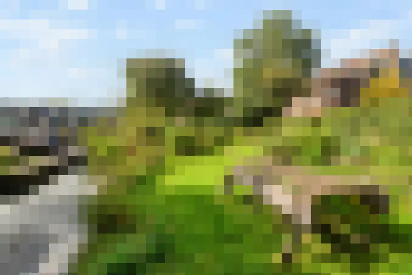 Nieuwendammerdijk 345 C Amsterdam thumbnail 5