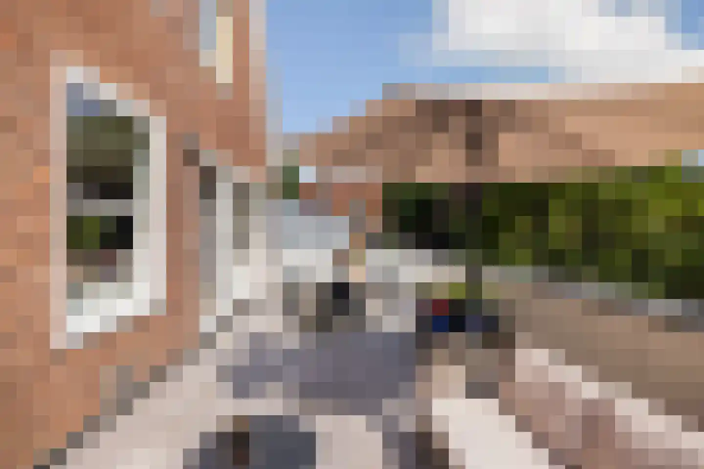 Nieuwendammerdijk 457 Amsterdam thumbnail 11