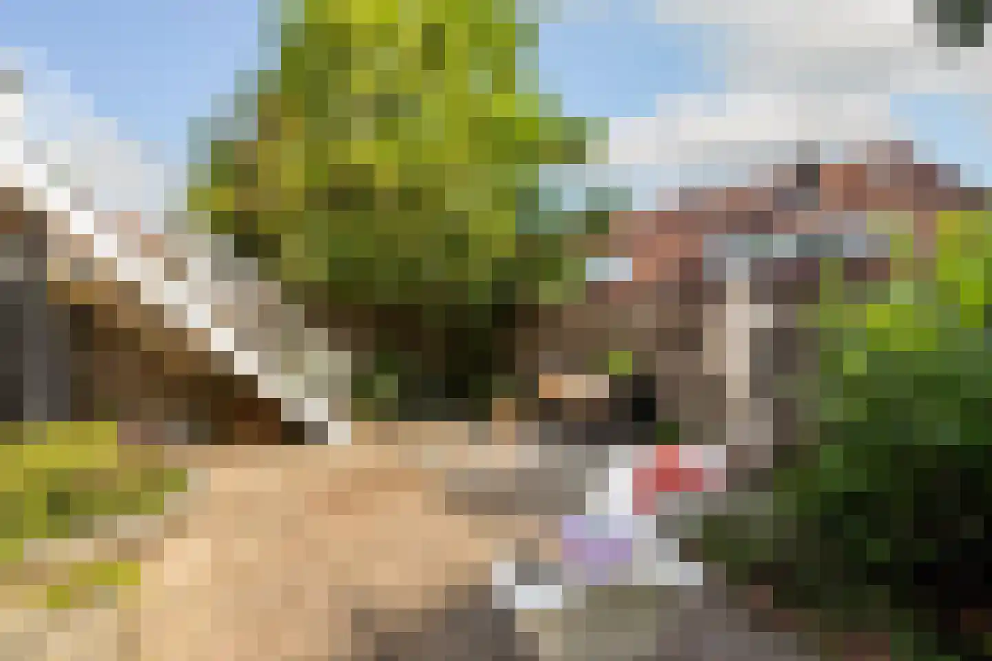 Nieuwendammerdijk 457 Amsterdam thumbnail 30