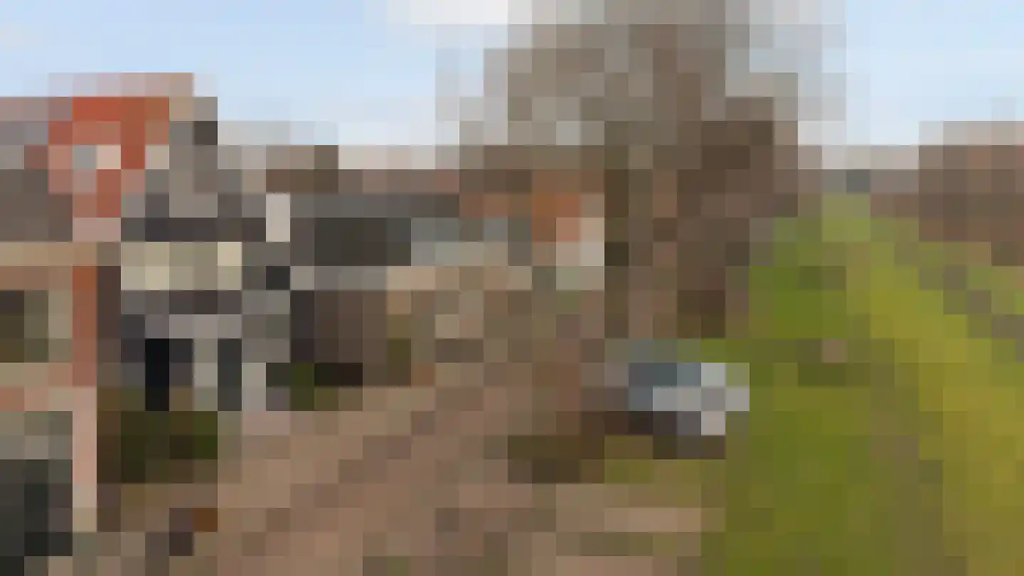 Nieuwendammerdijk 457 Amsterdam thumbnail 34