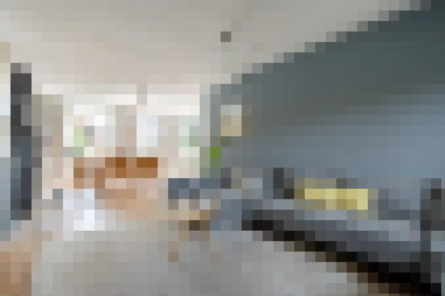 Nieuwendammerdijk 457 Amsterdam thumbnail 4