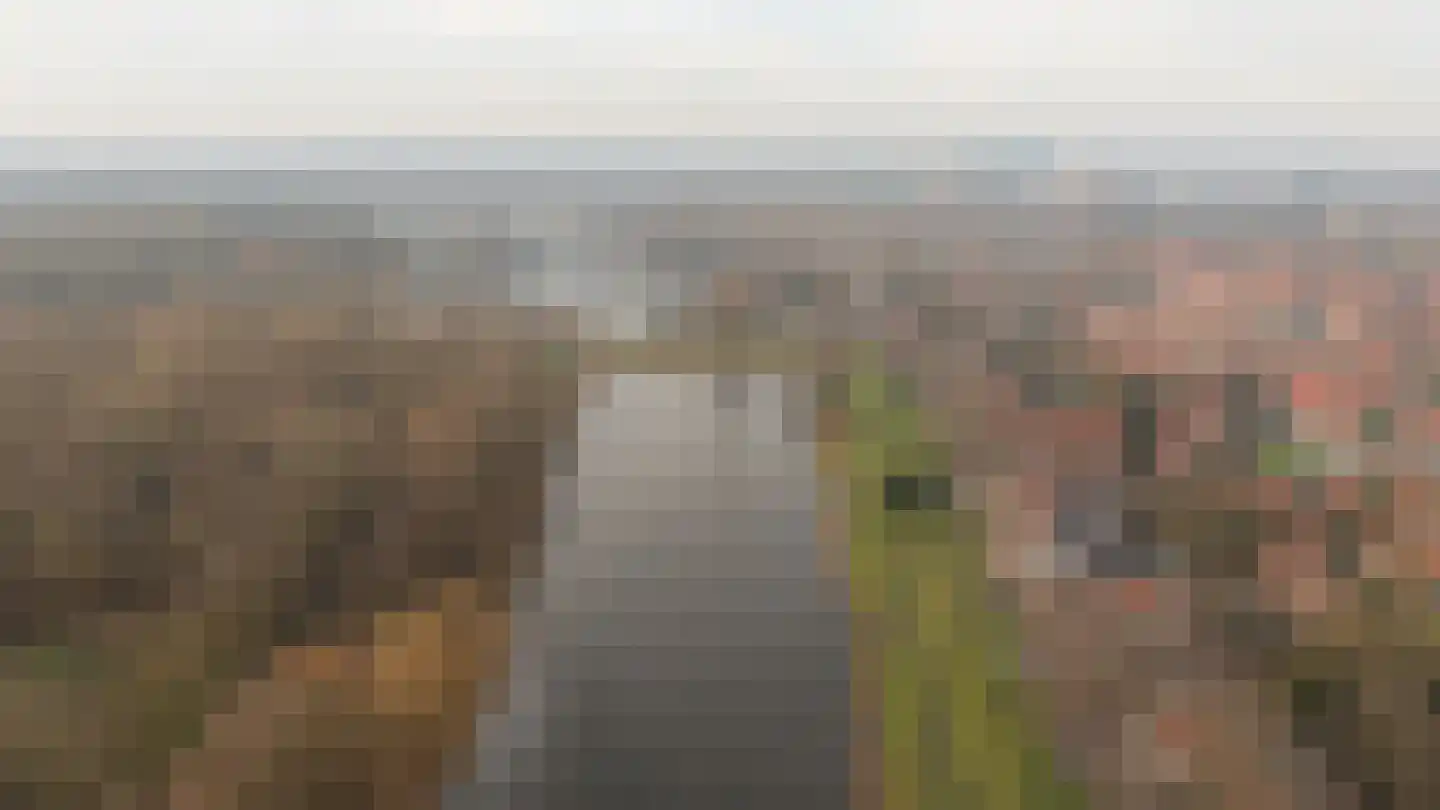 Nieuwendammerdijk 457 Amsterdam thumbnail 42