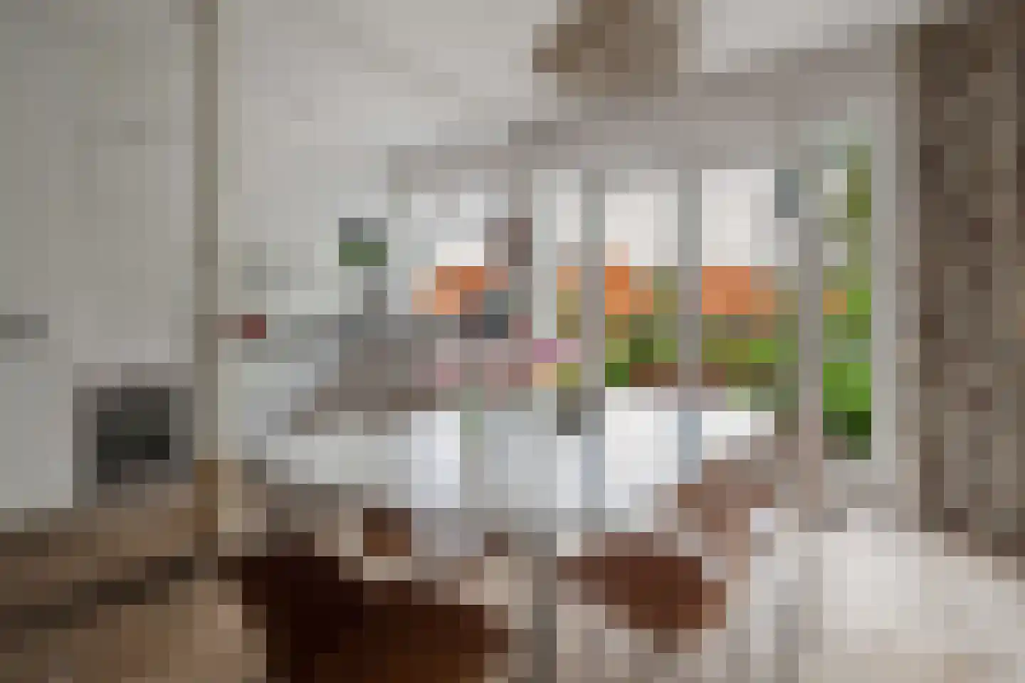 Nieuwendammerdijk 477 Amsterdam thumbnail 14