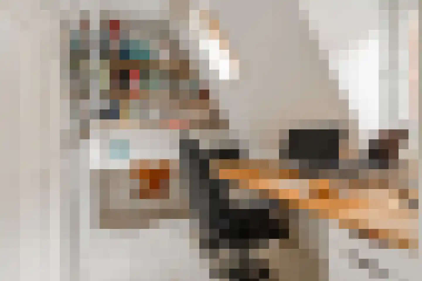 Nieuwendammerdijk 477 Amsterdam thumbnail 39
