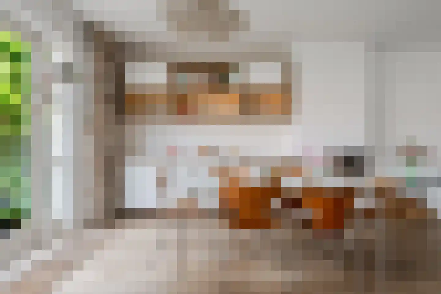 Nieuwendammerdijk 477 Amsterdam thumbnail 8