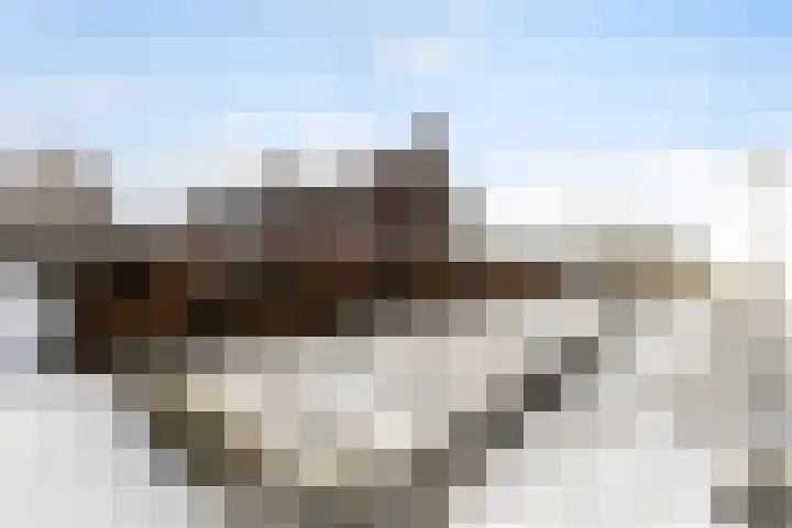 Nieuwendammerdijk 518 Amsterdam thumbnail 5