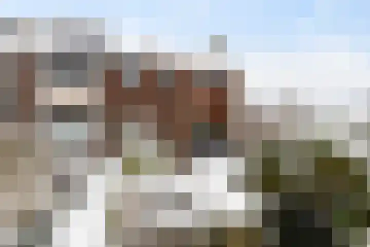 Nieuwendammerdijk 518 Amsterdam thumbnail 6