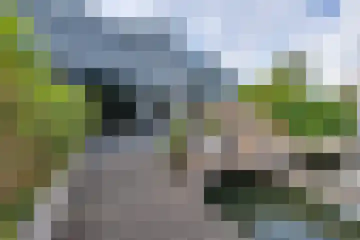 Nieuwendammerkade 26 G Amsterdam thumbnail 5