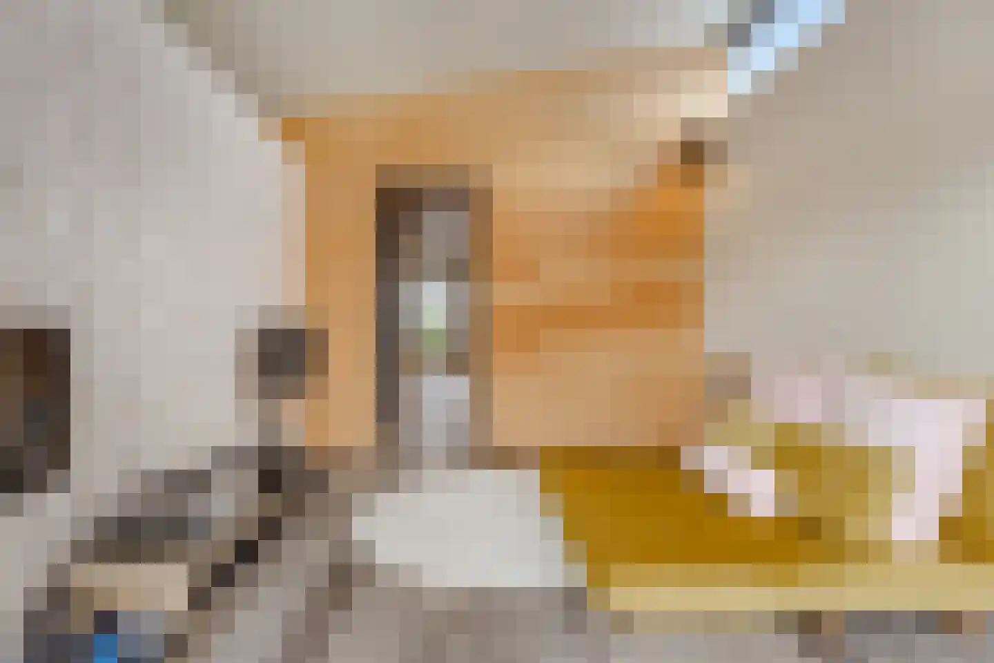 Nieuwendammerkade 26 H Amsterdam thumbnail 20