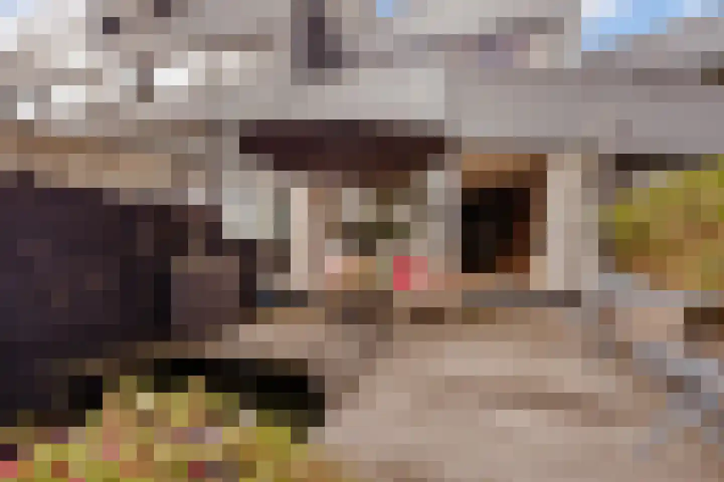 Nieuwendammerkade 26 H Amsterdam thumbnail 49