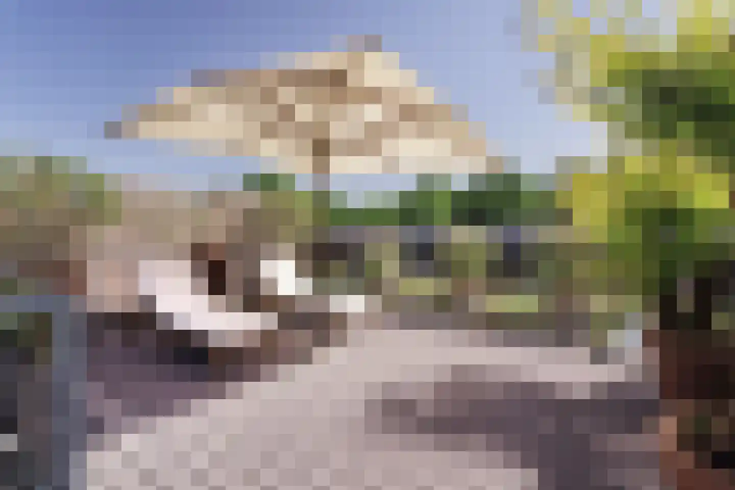 Nieuwendammerkade 28 C 11 Amsterdam thumbnail 35