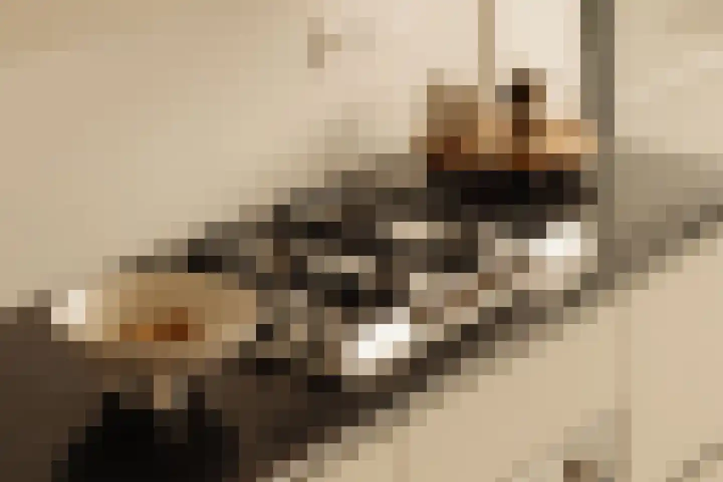 Nieuwendammerkade 28 C 25 Amsterdam thumbnail 16