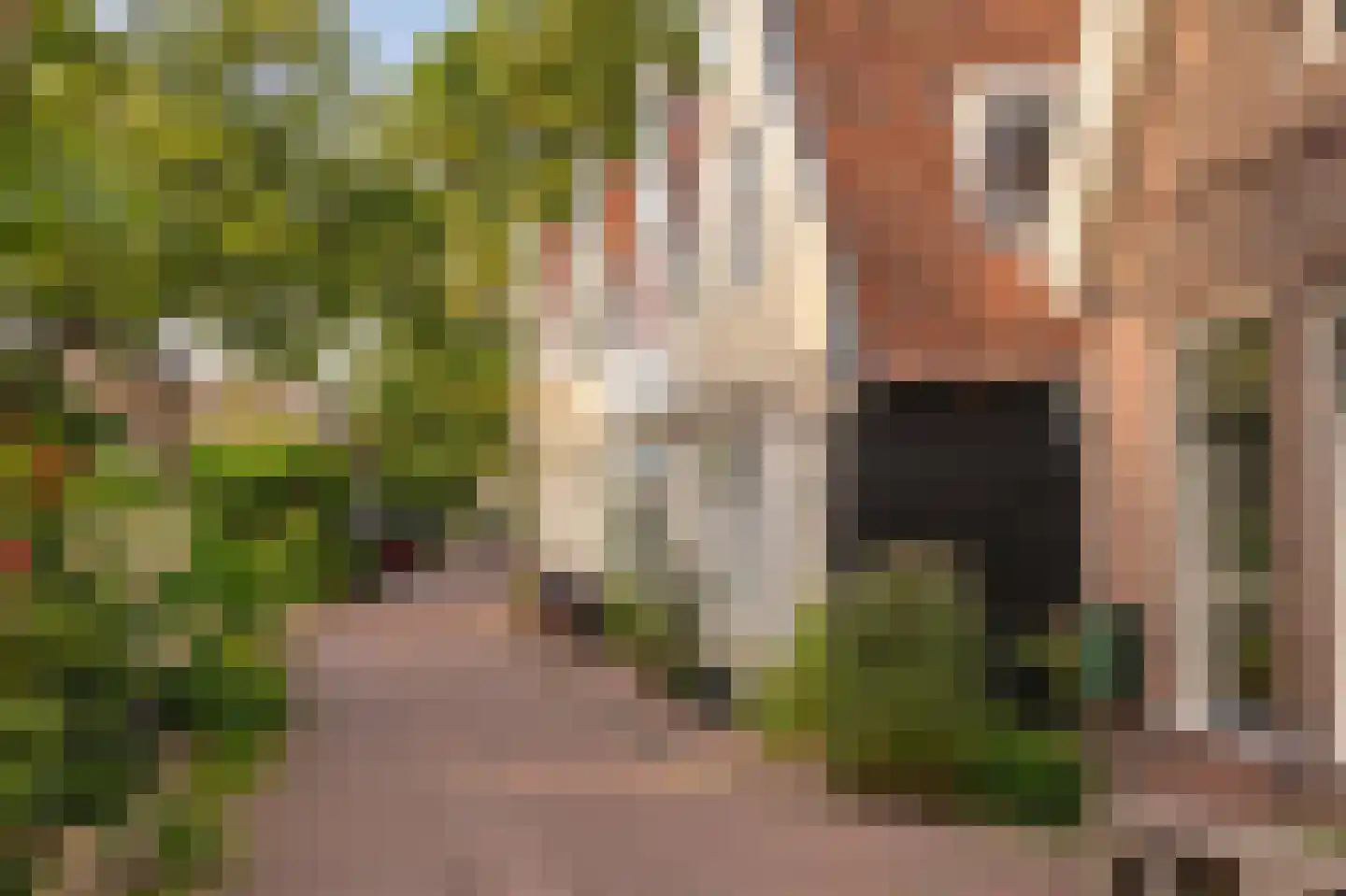 Nieuwendammerkade 28 C 25 Amsterdam thumbnail 32