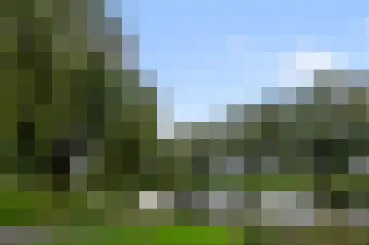 Nieuwendamstraat 16 Zaandam thumbnail 30